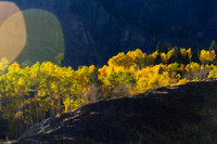 Four Corners Color